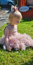 Load image into Gallery viewer, Princess - Frill Dress Blush
